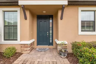 11599 Callisia Dr, Odessa, FL 33556 - Photo 75