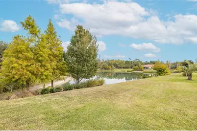 11599 Callisia Drive, Odessa, FL 33556 - Photo 59