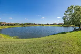 11599 Callisia Dr, Odessa, FL 33556 - Photo 57