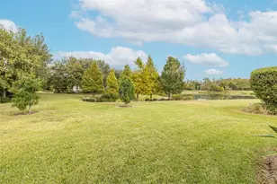 11599 Callisia Dr, Odessa, FL 33556 - Photo 61