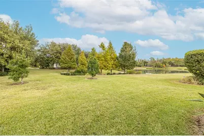 11599 Callisia Drive, Odessa, FL 33556 - Photo 67