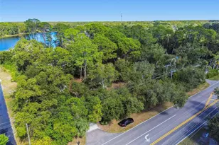 8011 N Mobley Rd, Odessa, FL 33556 - Photo 75