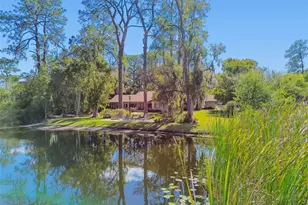 8011 N Mobley Rd, Odessa, FL 33556 - Photo 3