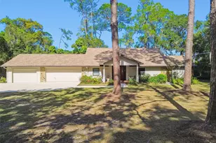 8011 N Mobley Rd, Odessa, FL 33556 - Photo 73