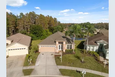 1201 Dustan Place, Trinity, FL 34655 - Photo 43