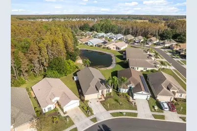 1201 Dustan Place, Trinity, FL 34655 - Photo 45