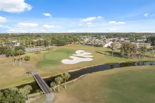 1201 Dustan Pl, Trinity, FL 34655 - Photo 73