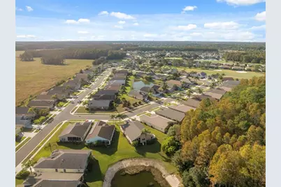 1201 Dustan Place, Trinity, FL 34655 - Photo 51