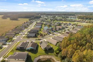 1201 Dustan Pl, Trinity, FL 34655 - Photo 51