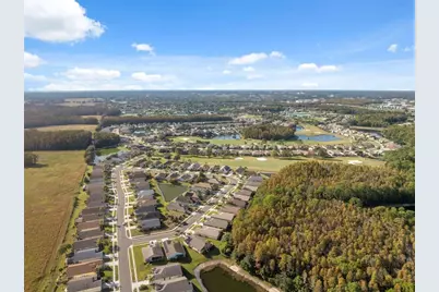 1201 Dustan Place, Trinity, FL 34655 - Photo 49