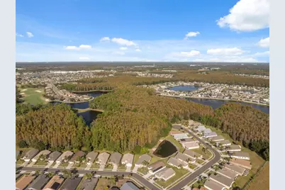 1201 Dustan Place, Trinity, FL 34655 - Photo 47