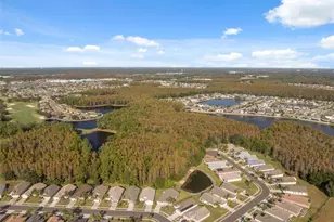 1201 Dustan Pl, Trinity, FL 34655 - Photo 47