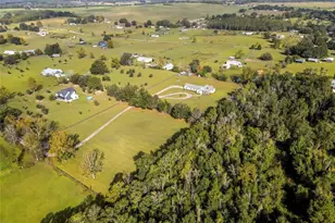 36431 Florrie Mae Ln, Dade City, FL 33523 - Photo 7