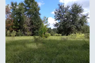 1826 SE 44th Place, Bushnell, FL 33513 - Photo 5