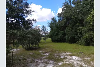 1826 SE 44th Place, Bushnell, FL 33513 - Photo 9