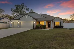 3313 Dorian Ave, Spring Hill, FL 34606 - Photo 1