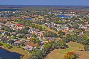 9298 Grand Cypress Dr, Weeki Wachee, FL 34613 - Photo 91