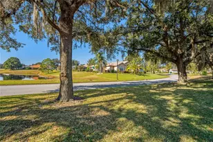 9298 Grand Cypress Dr, Weeki Wachee, FL 34613 - Photo 87