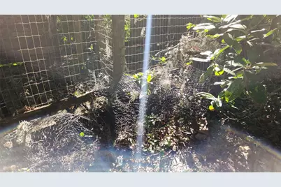 6321 Runnel Drive, New Port Richey, FL 34653 - Photo 17