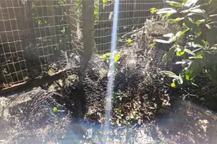 6321 Runnel Dr, New Port Richey, FL 34653 - Photo 17