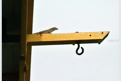 7353 Banner Street, New Port Richey, FL 34653 - Photo 49