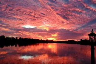 8606 Reedville St, New Port Richey, FL 34654 - Photo 85