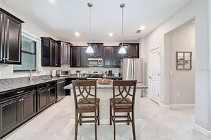 28520 Tranquil Lake Cir, Wesley Chapel, FL 33543 - Photo 5