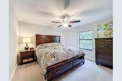 28520 Tranquil Lake Circle, Wesley Chapel, FL 33543 - Photo 13