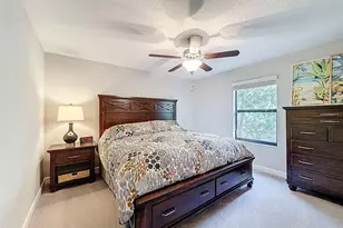 28520 Tranquil Lake Cir, Wesley Chapel, FL 33543 - Photo 13