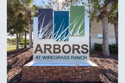 28520 Tranquil Lake Circle, Wesley Chapel, FL 33543 - Photo 25