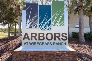 28520 Tranquil Lake Cir, Wesley Chapel, FL 33543 - Photo 25