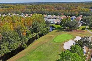 7519 Berna Ln, Land O Lakes, FL 34637 - Photo 59