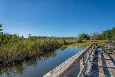 7519 Berna Lane, Land O Lakes, FL 34637 - Photo 85