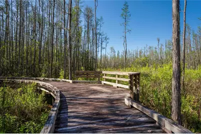 7519 Berna Lane, Land O Lakes, FL 34637 - Photo 93