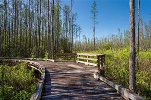 7519 Berna Ln, Land O Lakes, FL 34637 - Photo 93