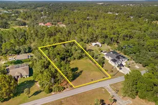 11039 Fulton Ave, Weeki Wachee, FL 34613 - Photo 1