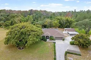 8551 Pratt Dr, New Port Richey, FL 34654 - Photo 27