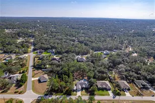 12184 Lark Sparrow Rd, Weeki Wachee, FL 34614 - Photo 45