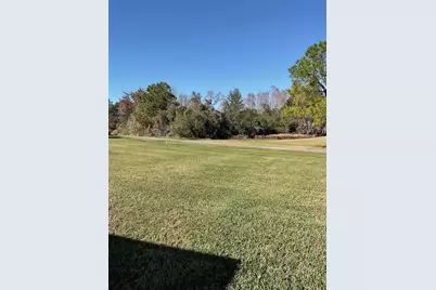 21422 Diamonte Drive, Land O Lakes, FL 34637 - Photo 7