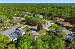 16 Nephthytis Ct, Homosassa, FL 34446 - Photo 41