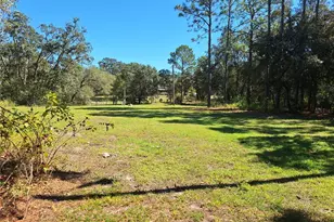 13117 Media Ln, Hudson, FL 34667 - Photo 95