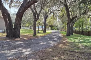 13117 Media Ln, Hudson, FL 34667 - Photo 3