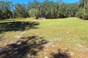 13117 Media Ln, Hudson, FL 34667 - Photo 97