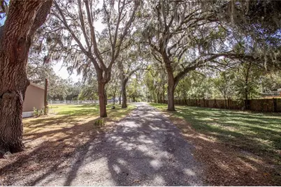 13117 Media Lane, Hudson, FL 34667 - Photo 15