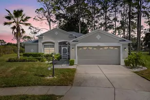 11802 Wayside Willow Ct, Hudson, FL 34667 - Photo 1