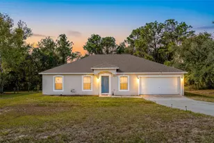 16061 Cave Swallow Rd, Brooksville, FL 34614 - Photo 1