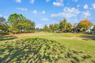 2974 Chapin Pass, Odessa, FL 33556 - Photo 47