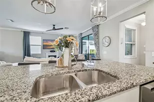 2974 Chapin Pass, Odessa, FL 33556 - Photo 13