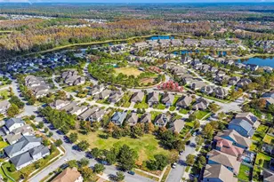 2974 Chapin Pass, Odessa, FL 33556 - Photo 51