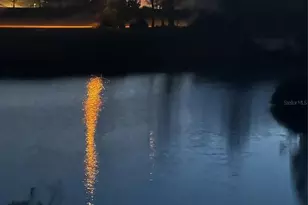 3185 Rose Arbor Dr, Hernando Beach, FL 34607 - Photo 11